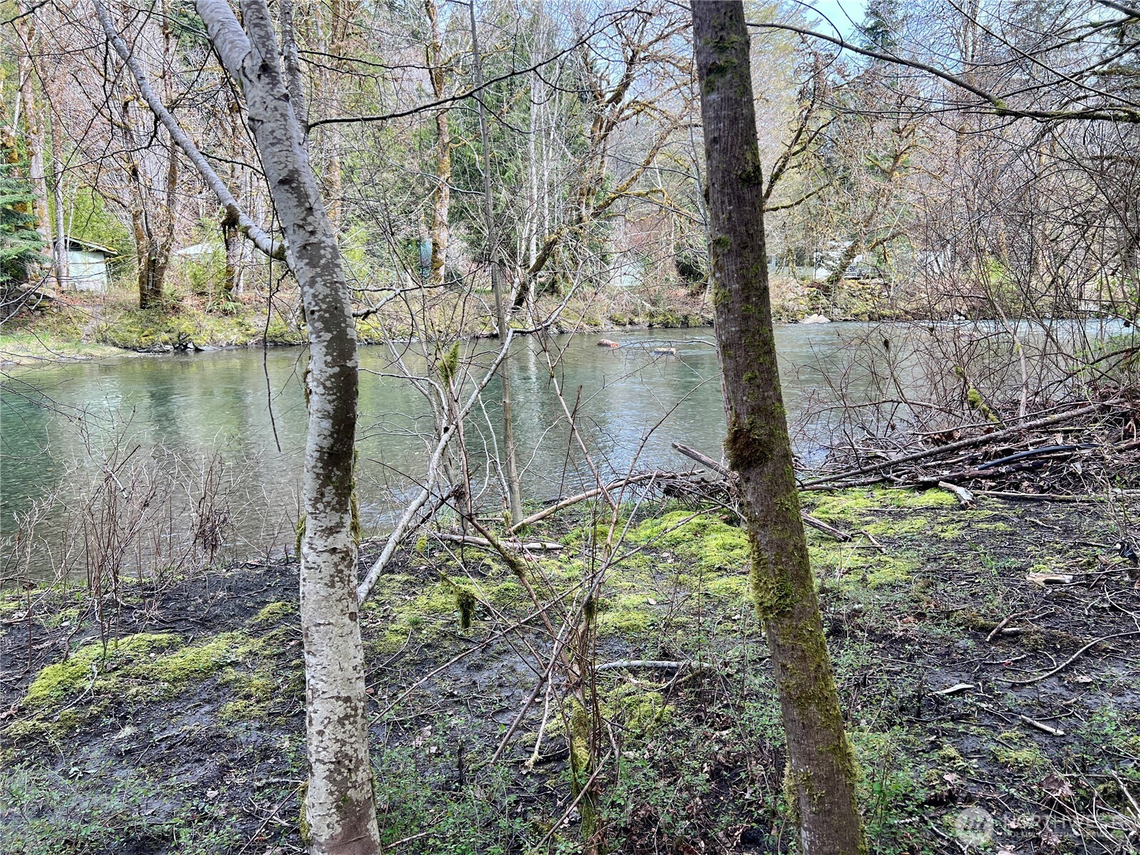 680 Mountain Trail Road Brinnon, WA 98320 - Photo 2 of 13 a backyard of a house with lots of green space