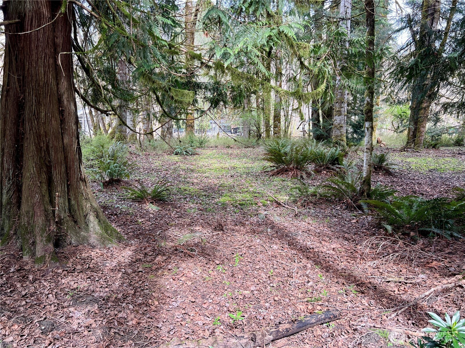 680 Mountain Trail Road Brinnon, WA 98320 - Photo 8 of 13 a view of a yard