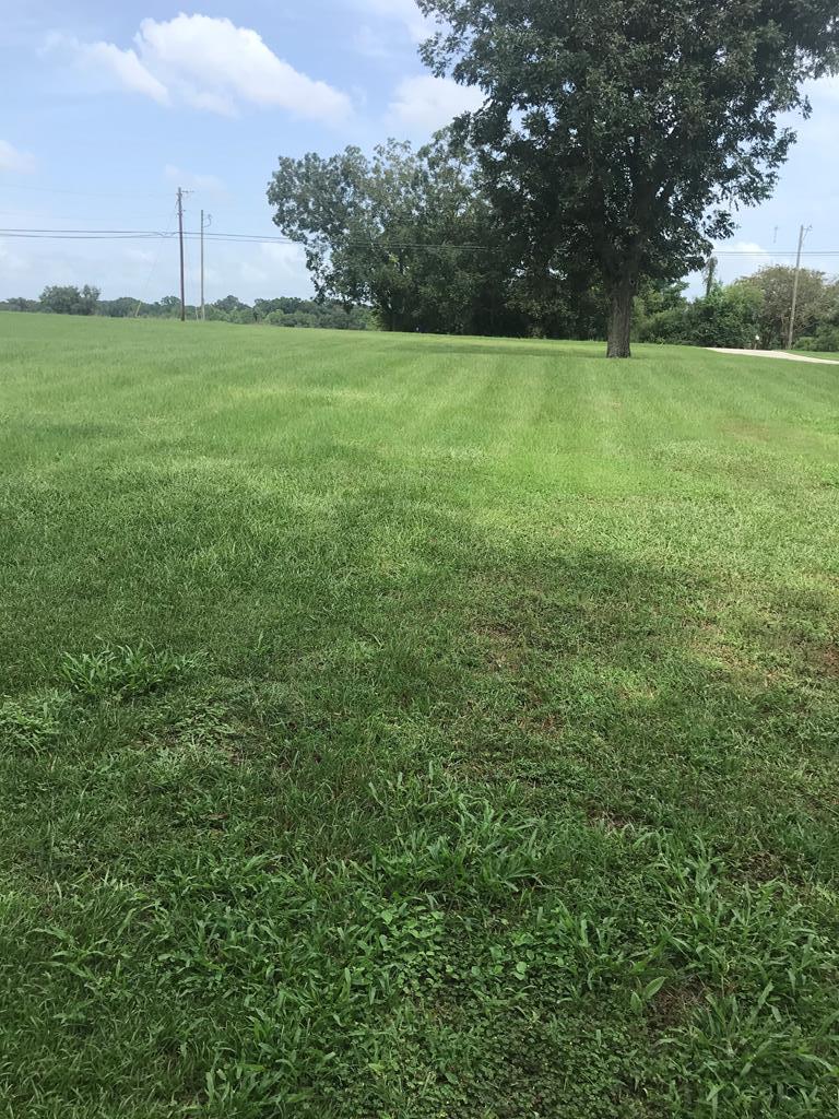 0 North Bay Springs Road Dothan, AL 36303 - Photo 1 of 2