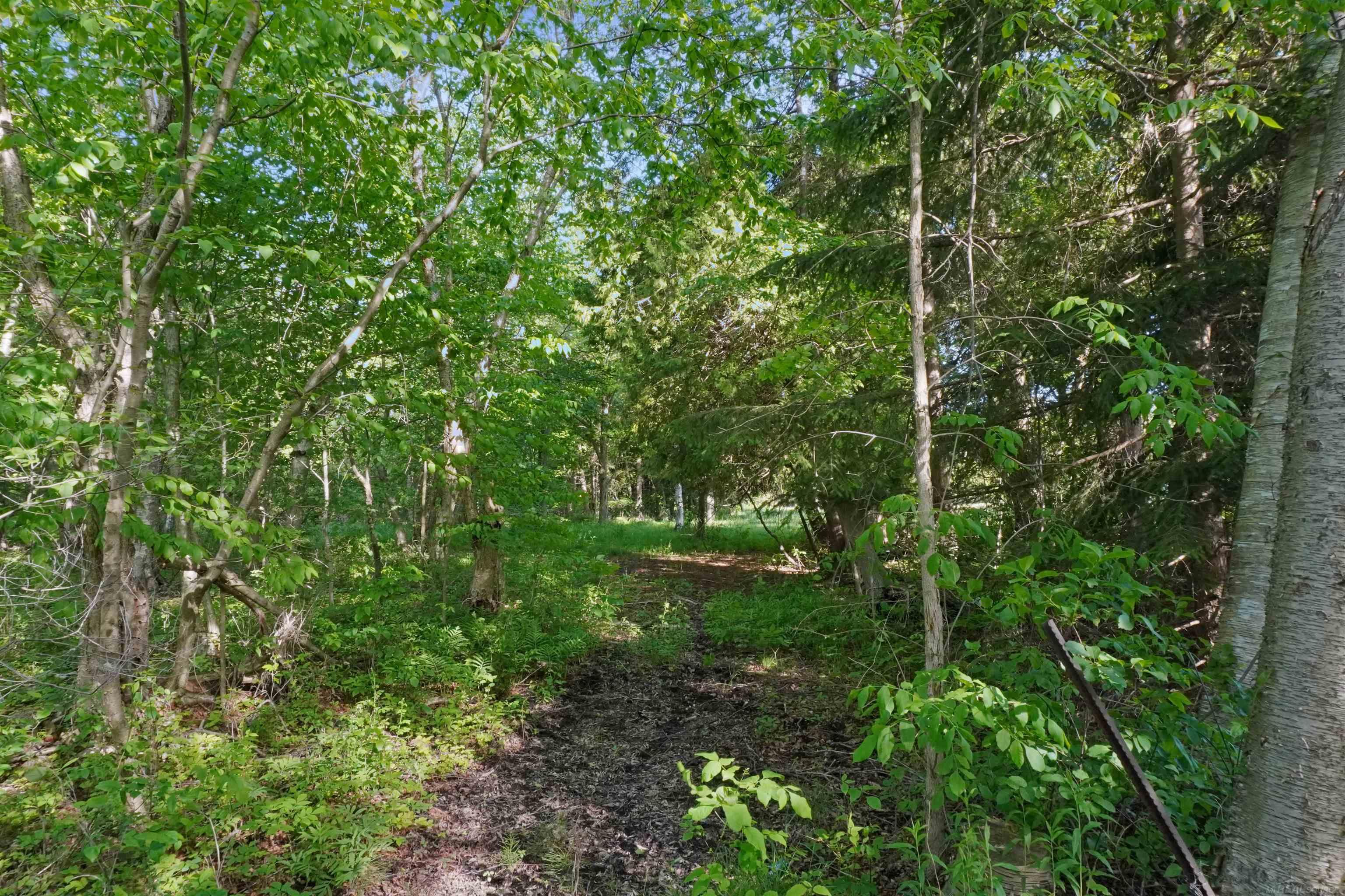 1385 North Blacks Corners Road Imlay City, MI 48444 - Photo 49 of 57