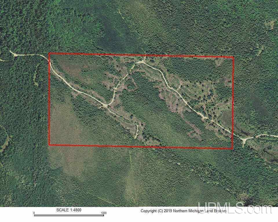 80-acres Camp 6 Road Newberry, MI 49853 - Photo 5 of 6