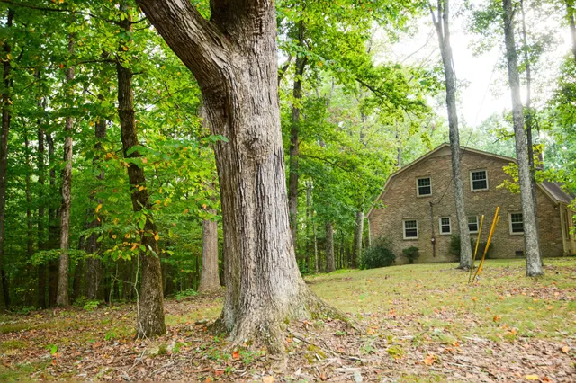 a view of a house with backyard and trees