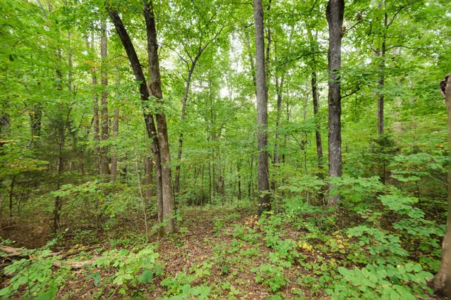 $999,500 | 2719 Highway 41A, Wartrace, TN 37183