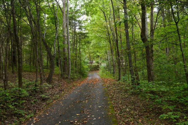 $999,500 | 2719 Highway 41A, Wartrace, TN 37183