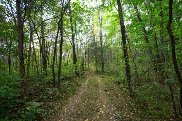 $999,500 | 2719 Highway 41A, Wartrace, TN 37183