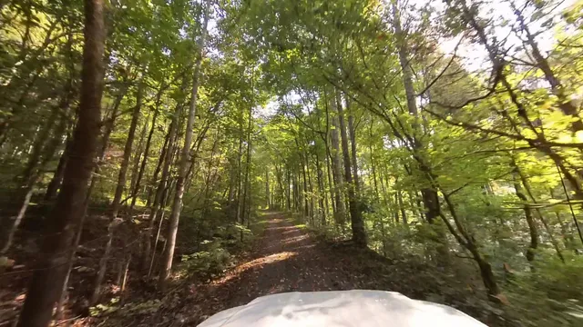 $999,500 | 2719 Highway 41A, Wartrace, TN 37183