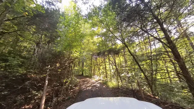 $999,500 | 2719 Highway 41A, Wartrace, TN 37183