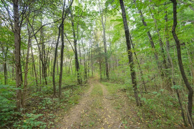 $999,500 | 2719 Highway 41A, Wartrace, TN 37183