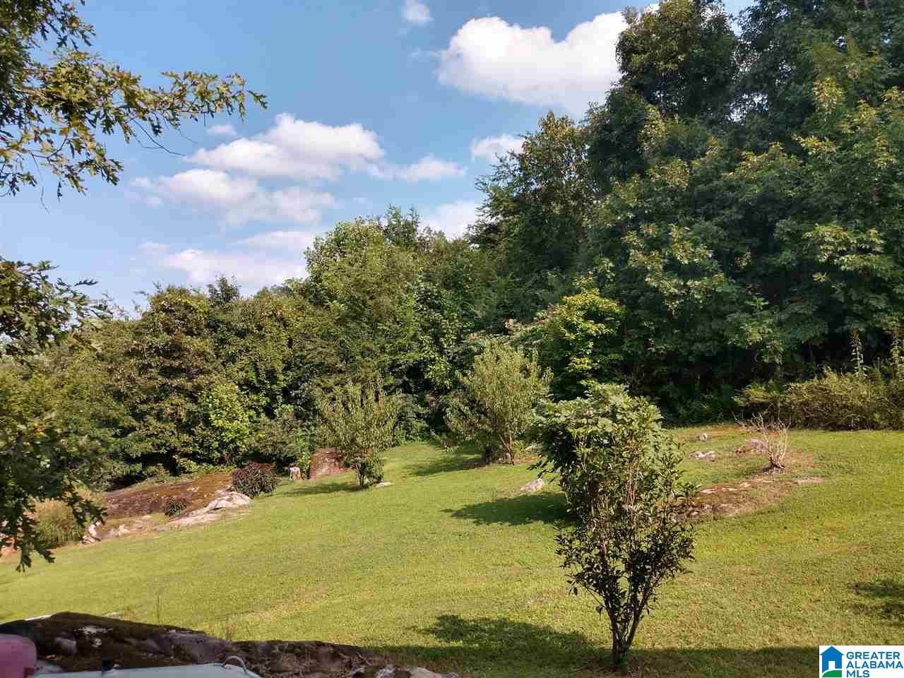 4100 County Road 26 Ragland, AL 35131 - Photo 14 of 48