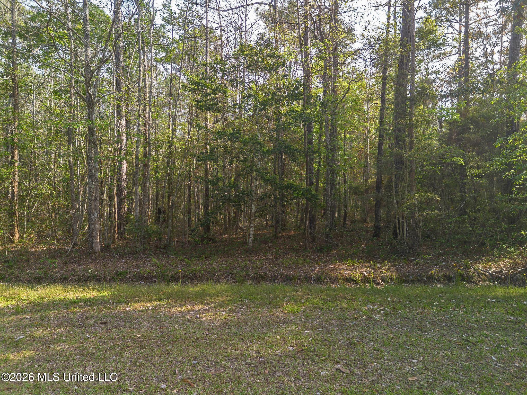 Ramon Street Bay St. Louis, MS 39520 - Photo 2 of 3 queen ramon 4