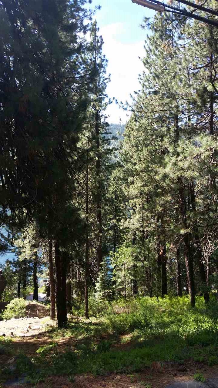14864 Donner Pass Road Truckee, CA 96161 - Photo 8 of 10 Gallery Image 8
