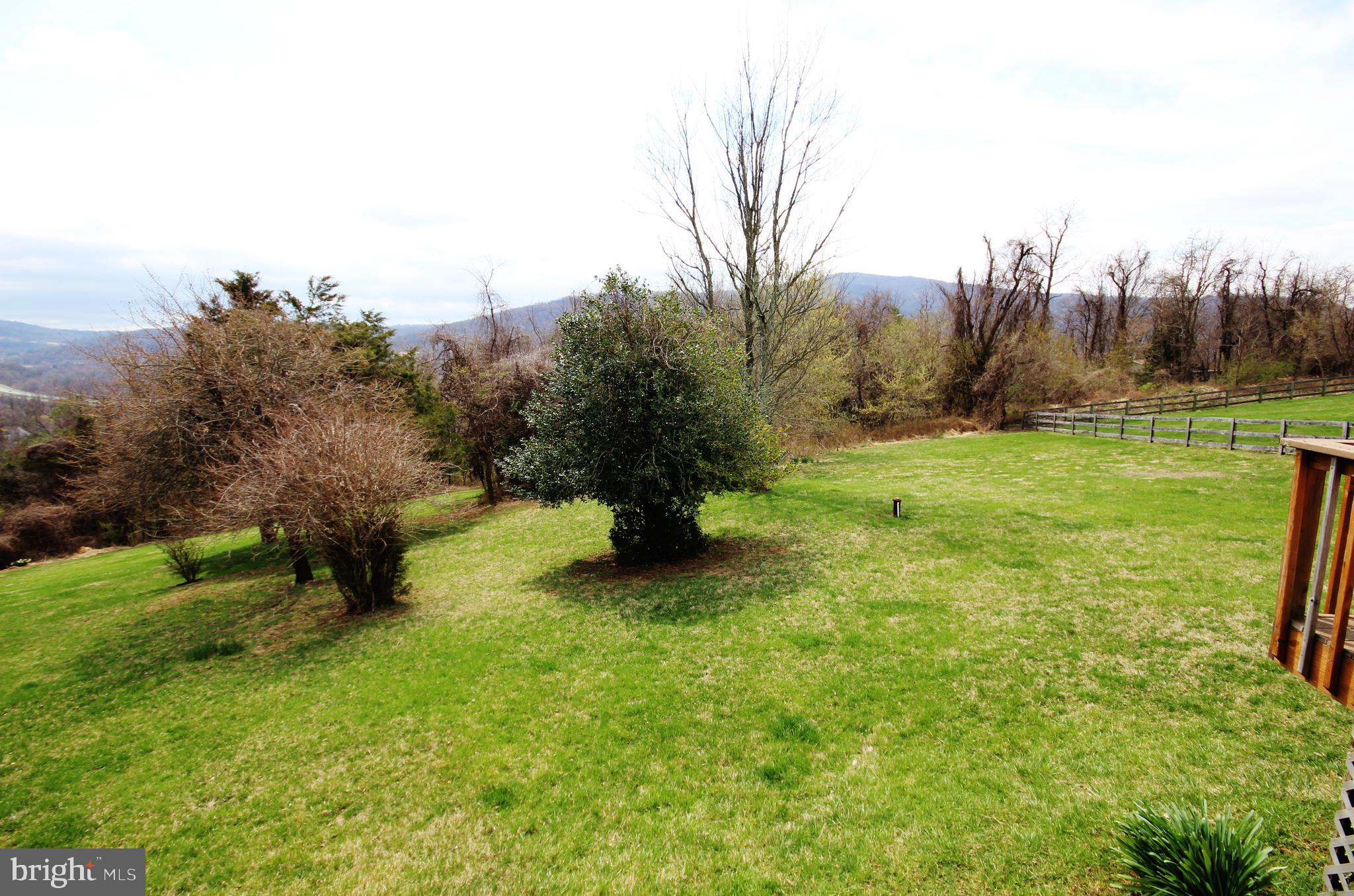 312 Granny Smith Road Linden, VA 22642 - Photo 44 of 59 View of rear from deck
