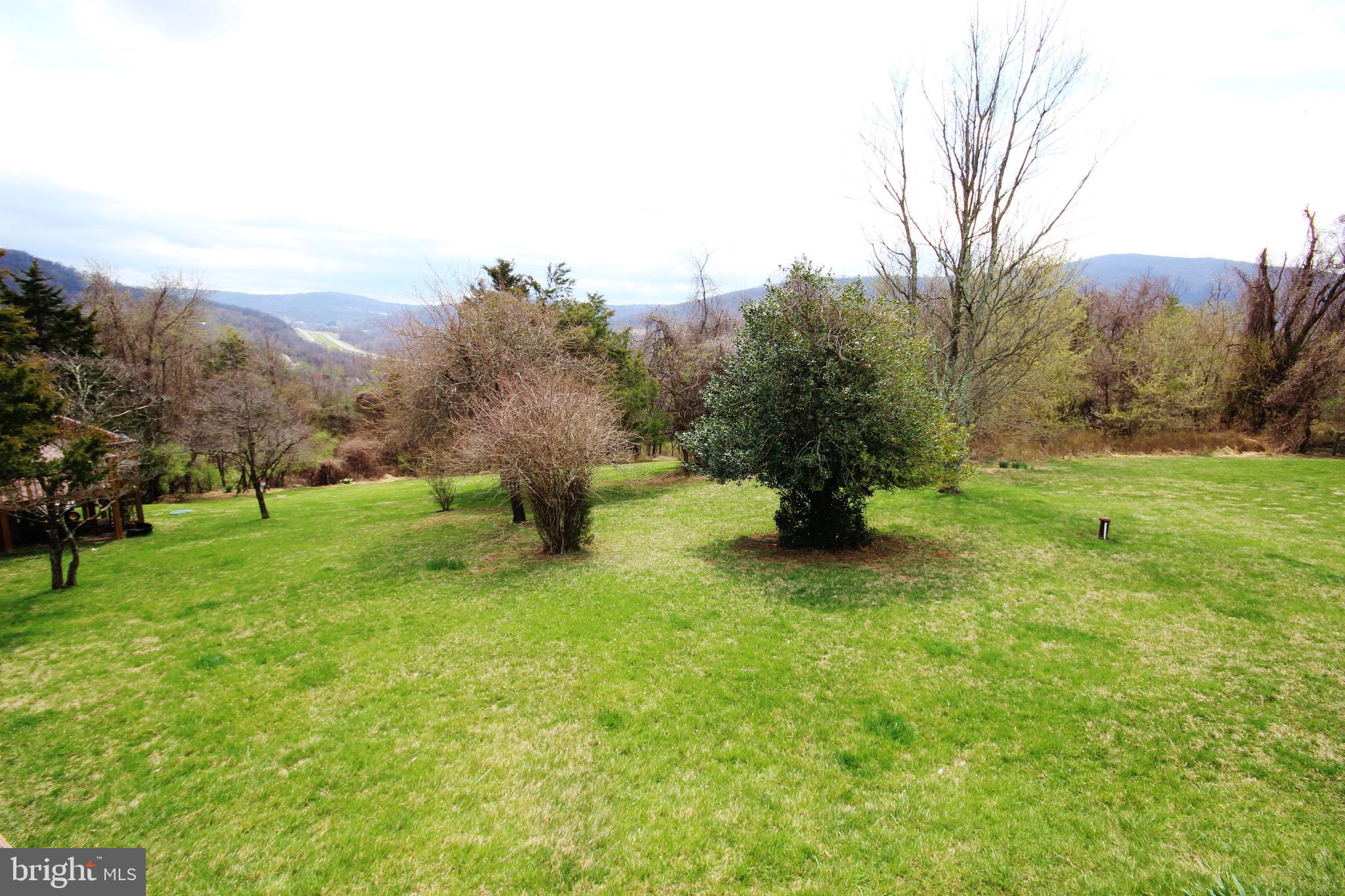 312 Granny Smith Road Linden, VA 22642 - Photo 45 of 59 South easterly view