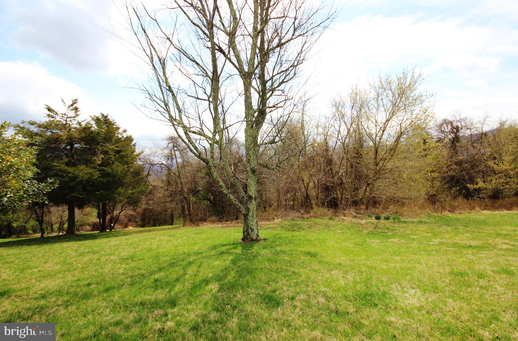 312 Granny Smith Road Linden, VA 22642 - Photo 46 of 59