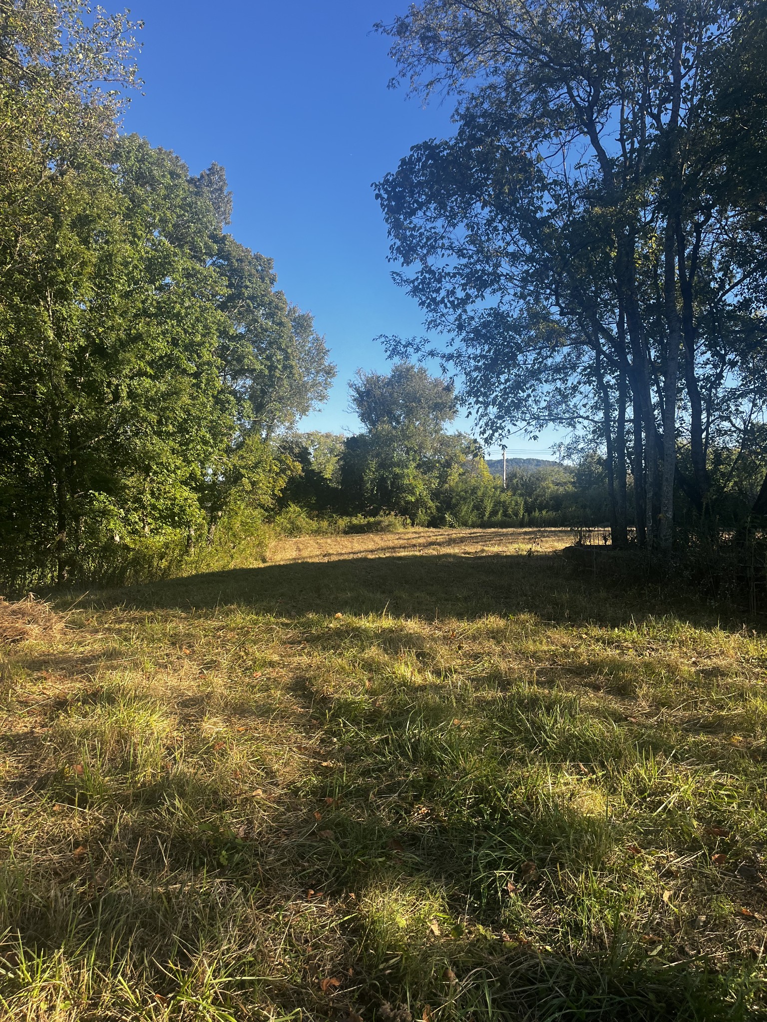 0 Old Morrison Road McMinnville, TN 37110 - Photo 6 of 7