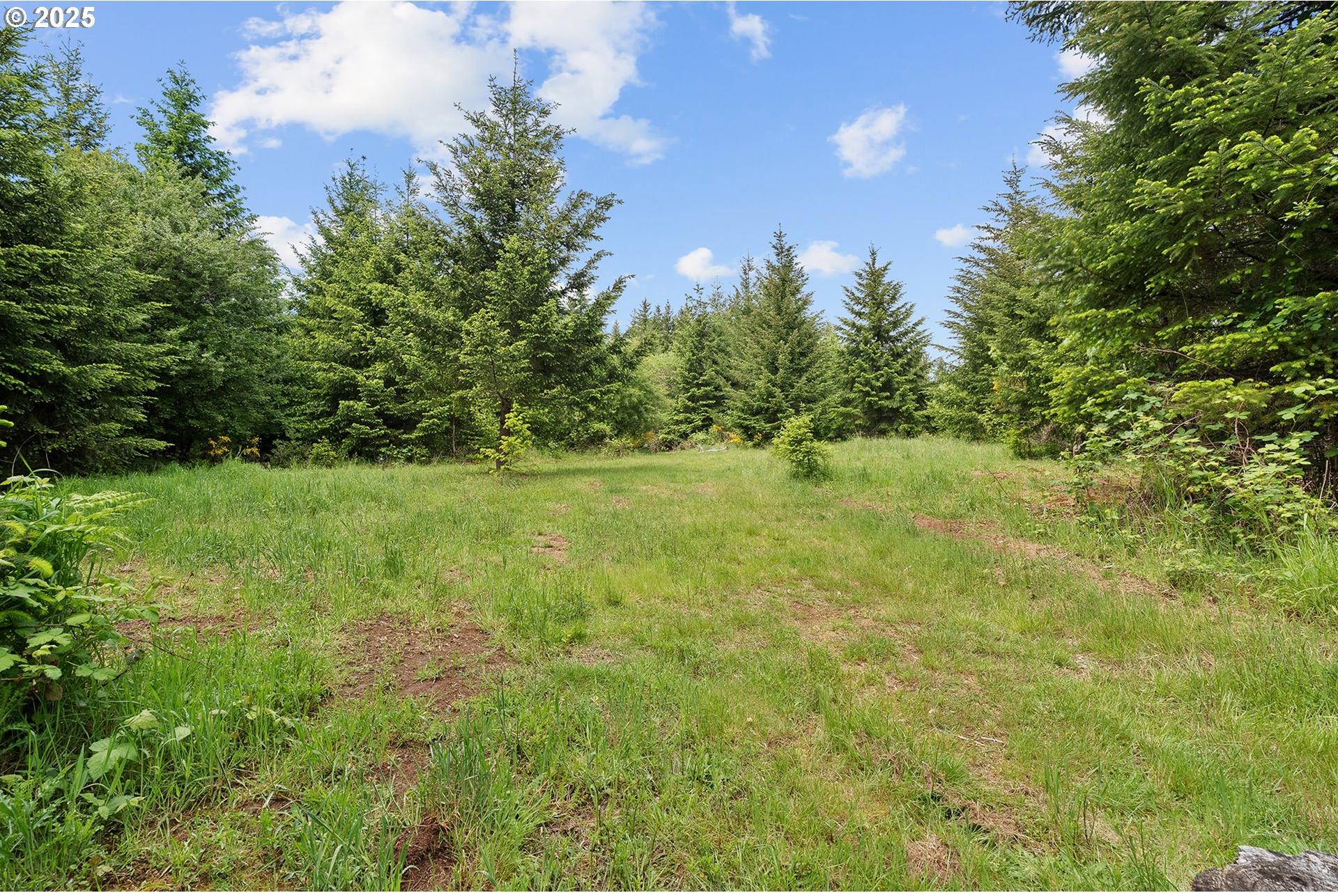 Northwest Pumpkin Ridge Road, Unit 400 North Plains, OR 97133 - Photo 6 of 36 Gallery Image 6