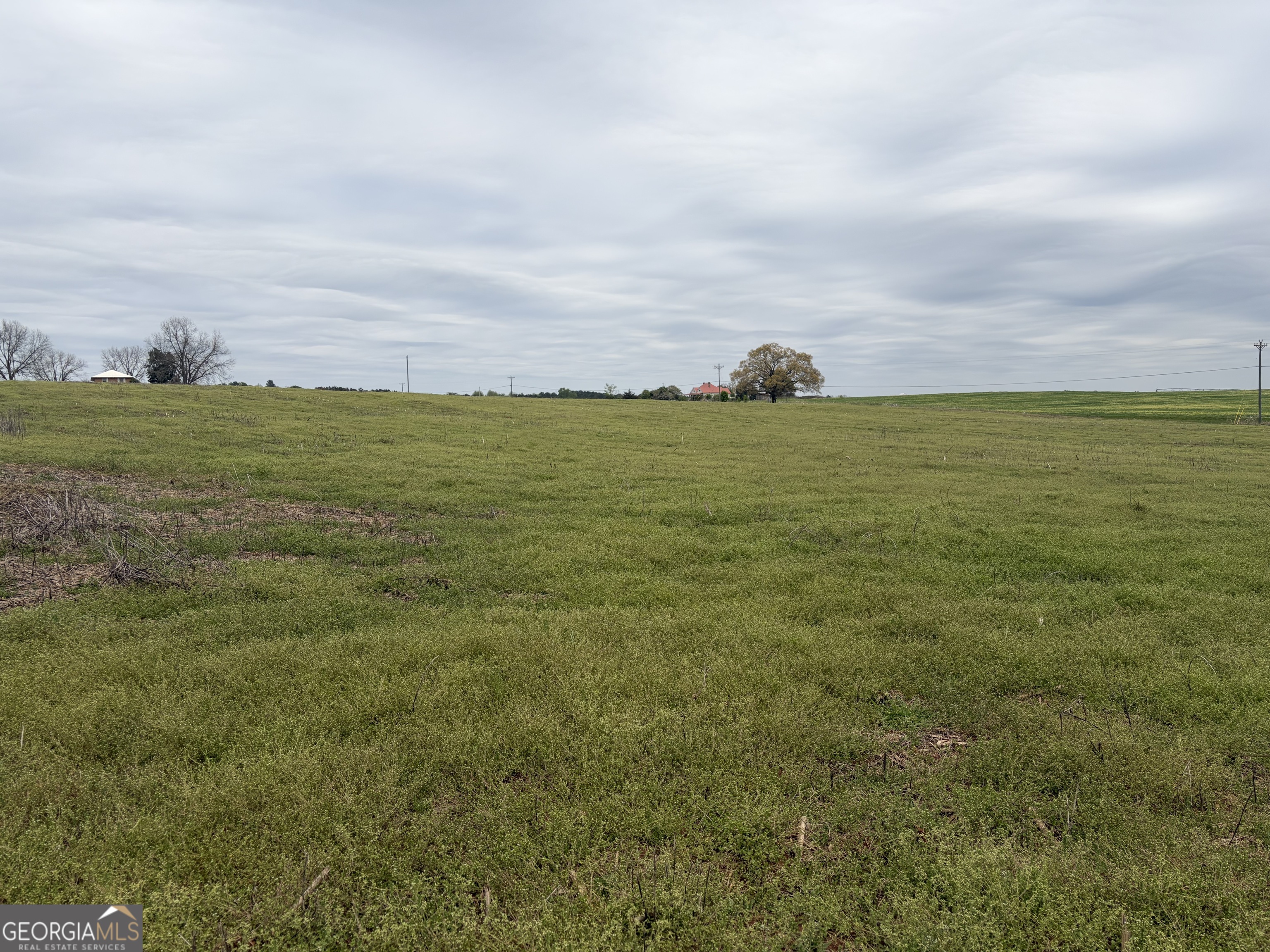 1 Union Point Road Stephens, GA 30667 - Photo 3 of 10