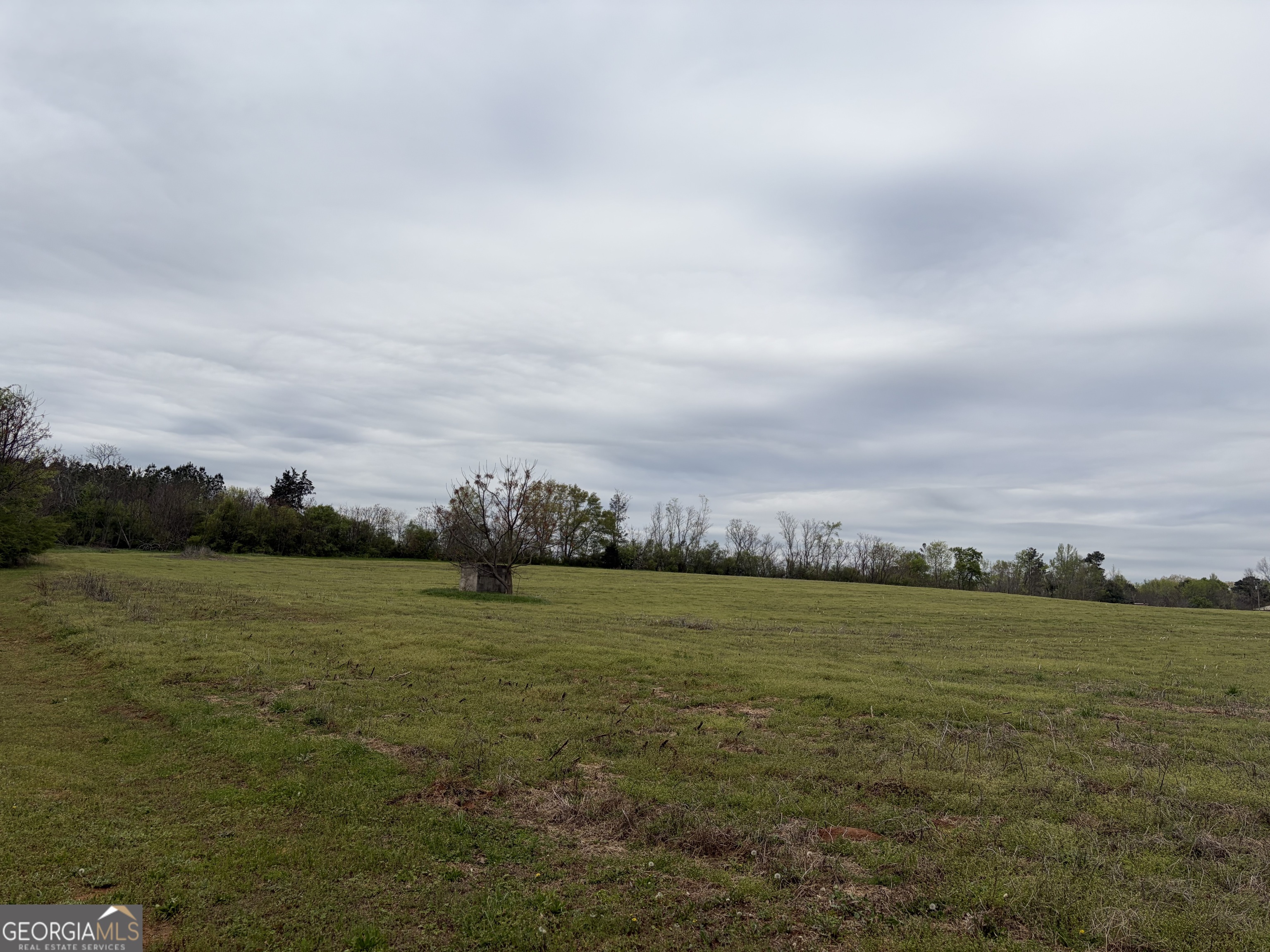 1 Union Point Road Stephens, GA 30667 - Photo 4 of 10