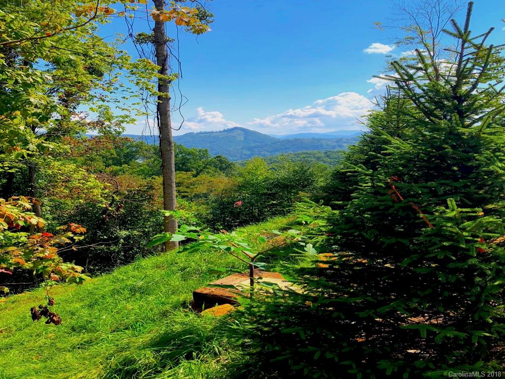 176 Ladderback Ridge, Unit 120C Waynesville, NC 28785 - Photo 2 of 14 Gallery Image 2