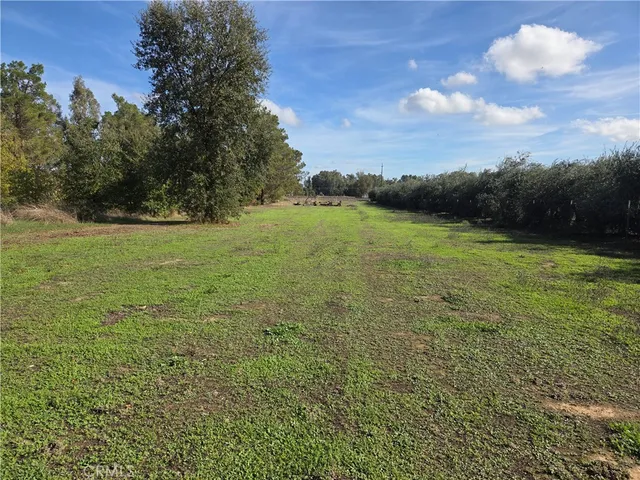 a view of outdoor space and yard