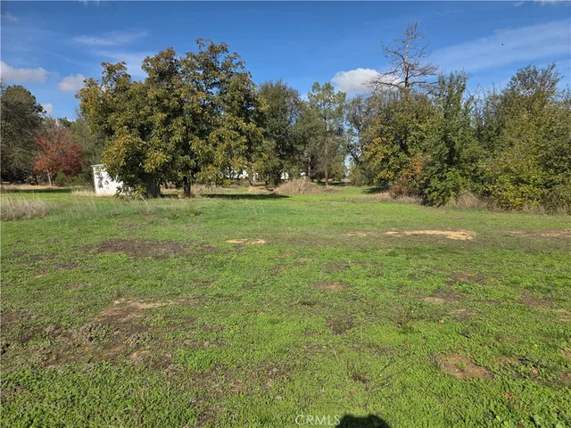a view of a big yard with plants and a bench