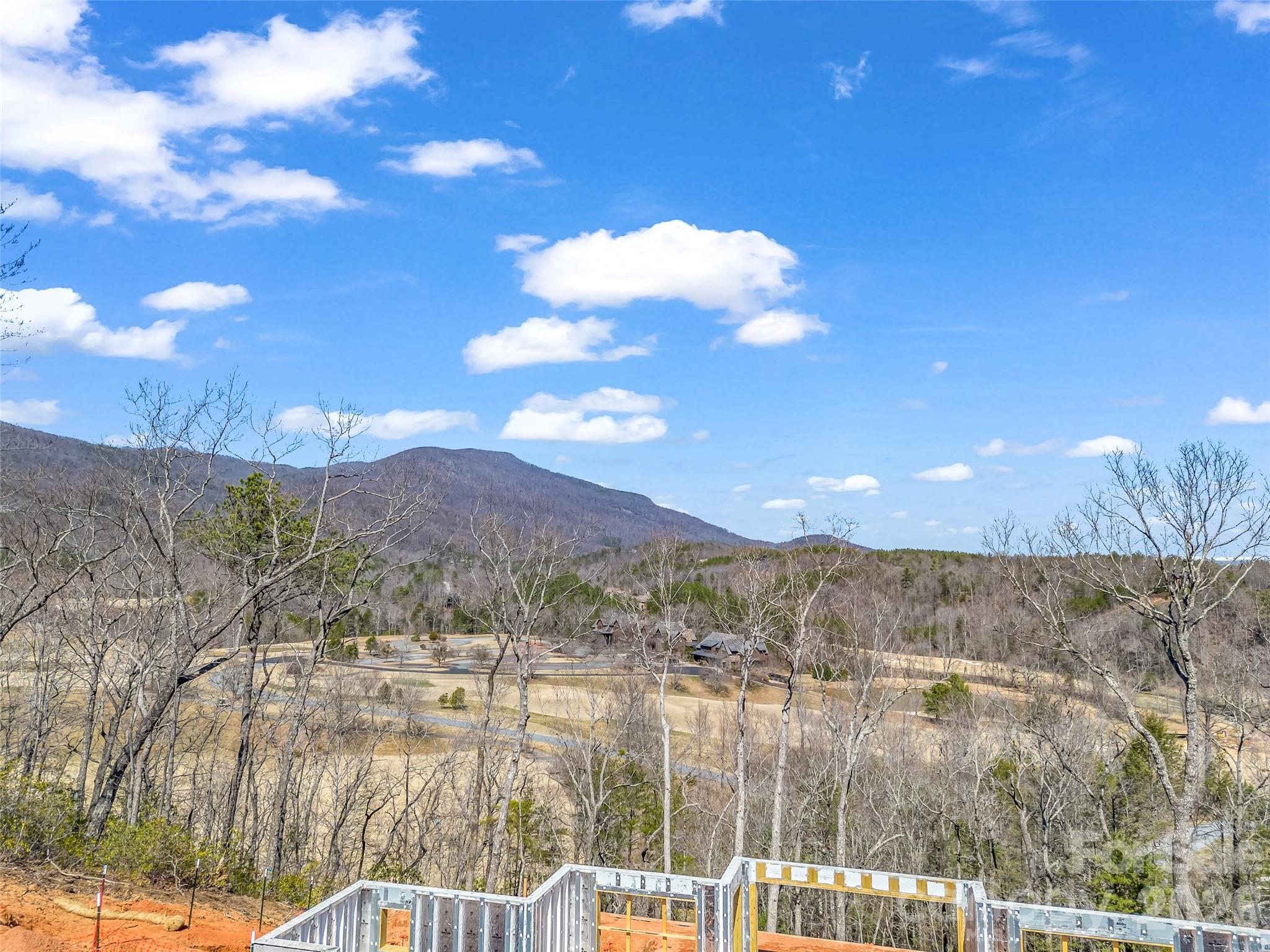 2015 Deep Gap Farm Road East Mill Spring, NC 28756 - Photo 14 of 44