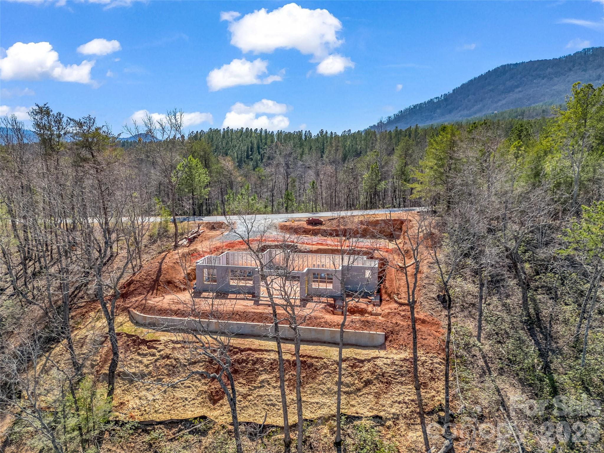 2015 Deep Gap Farm Road East Mill Spring, NC 28756 - Photo 17 of 44