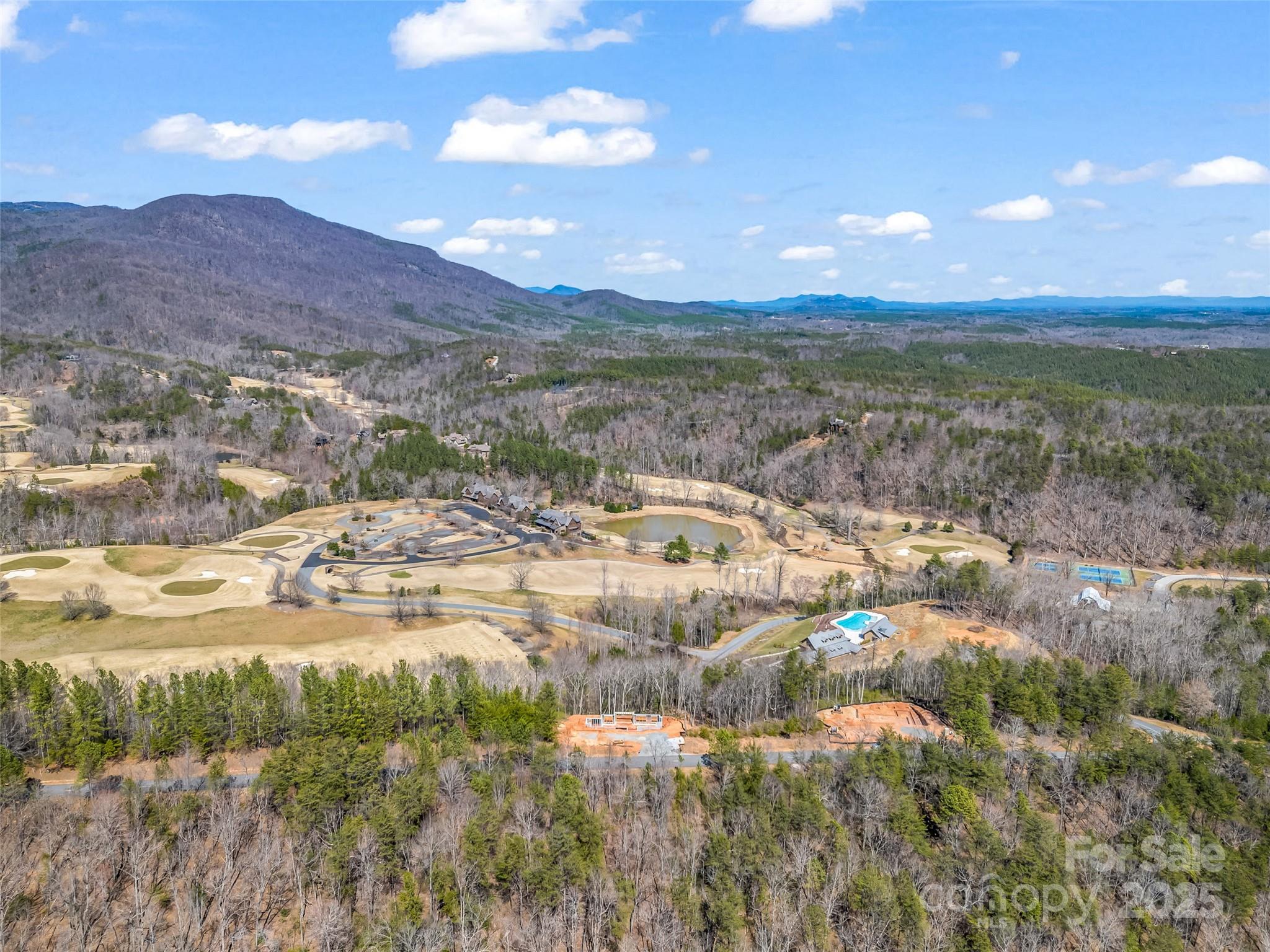 2015 Deep Gap Farm Road East Mill Spring, NC 28756 - Photo 18 of 36 a view of city and mountain