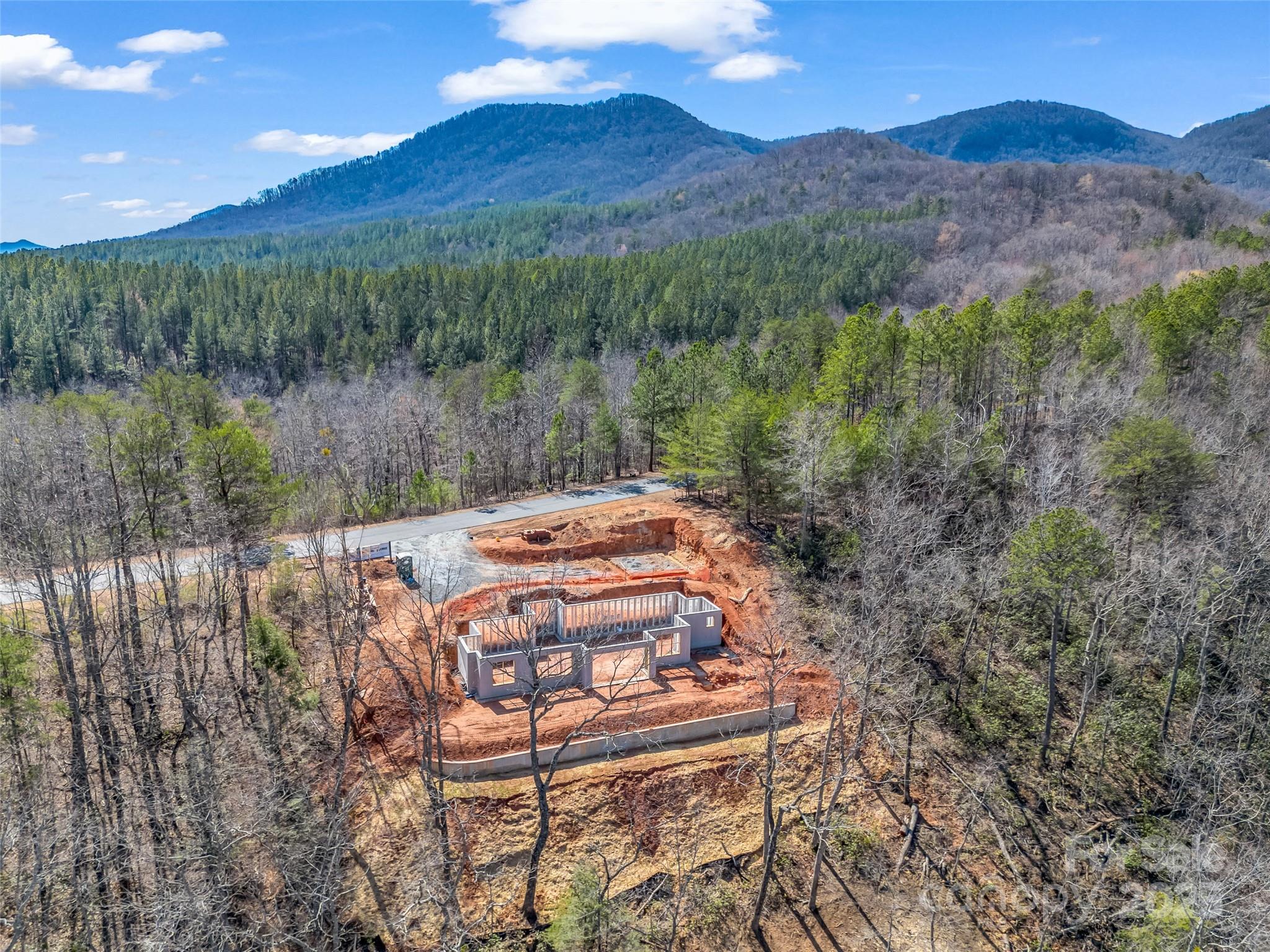 2015 Deep Gap Farm Road East Mill Spring, NC 28756 - Photo 2 of 36 a view of a backyard with plants and mountain view