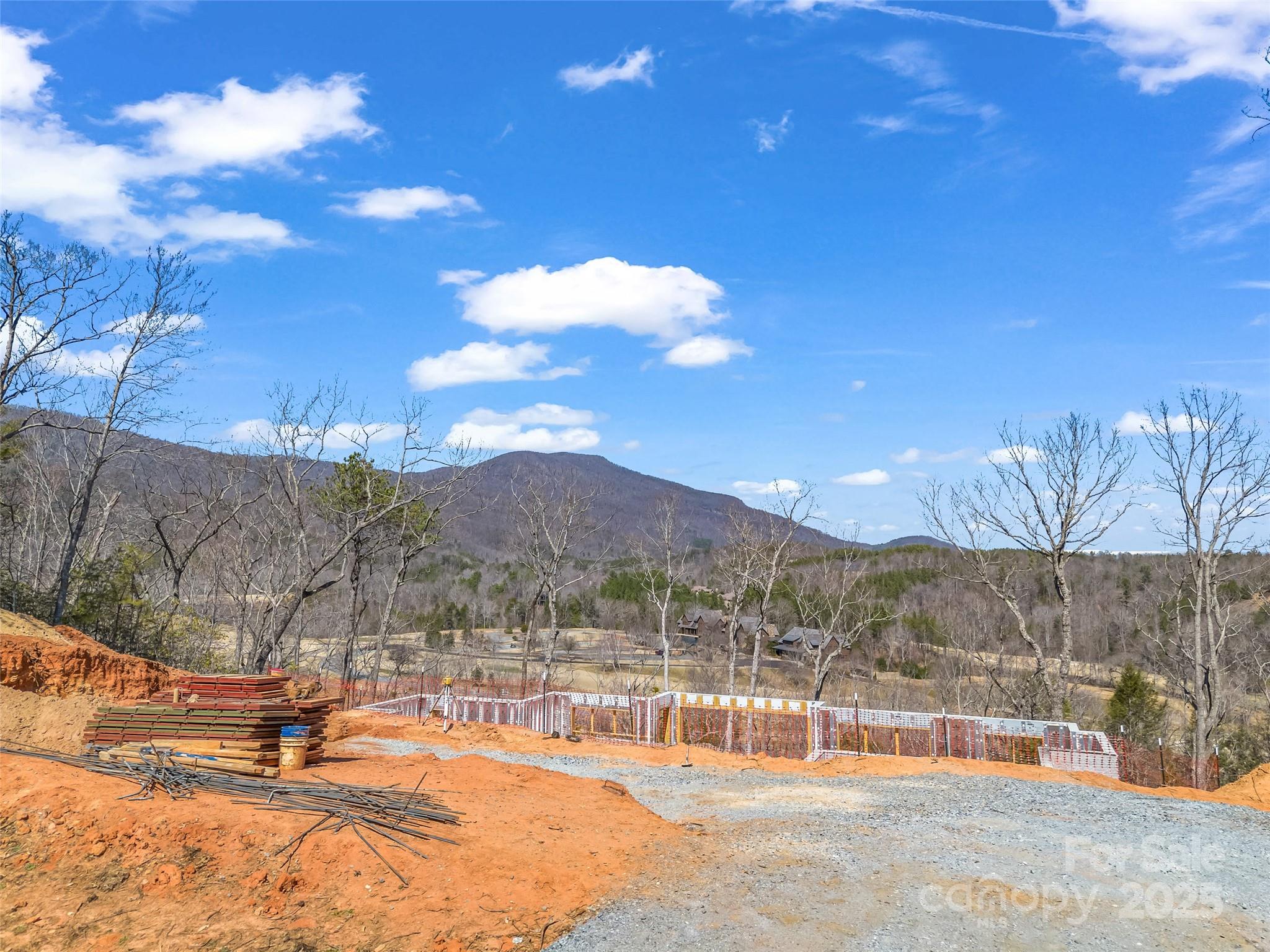 2015 Deep Gap Farm Road East Mill Spring, NC 28756 - Photo 21 of 36 a view of a backyard with snow