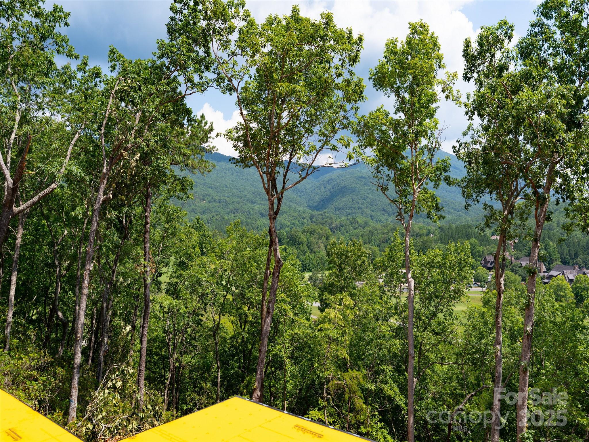 2015 Deep Gap Farm Road East Mill Spring, NC 28756 - Photo 25 of 36