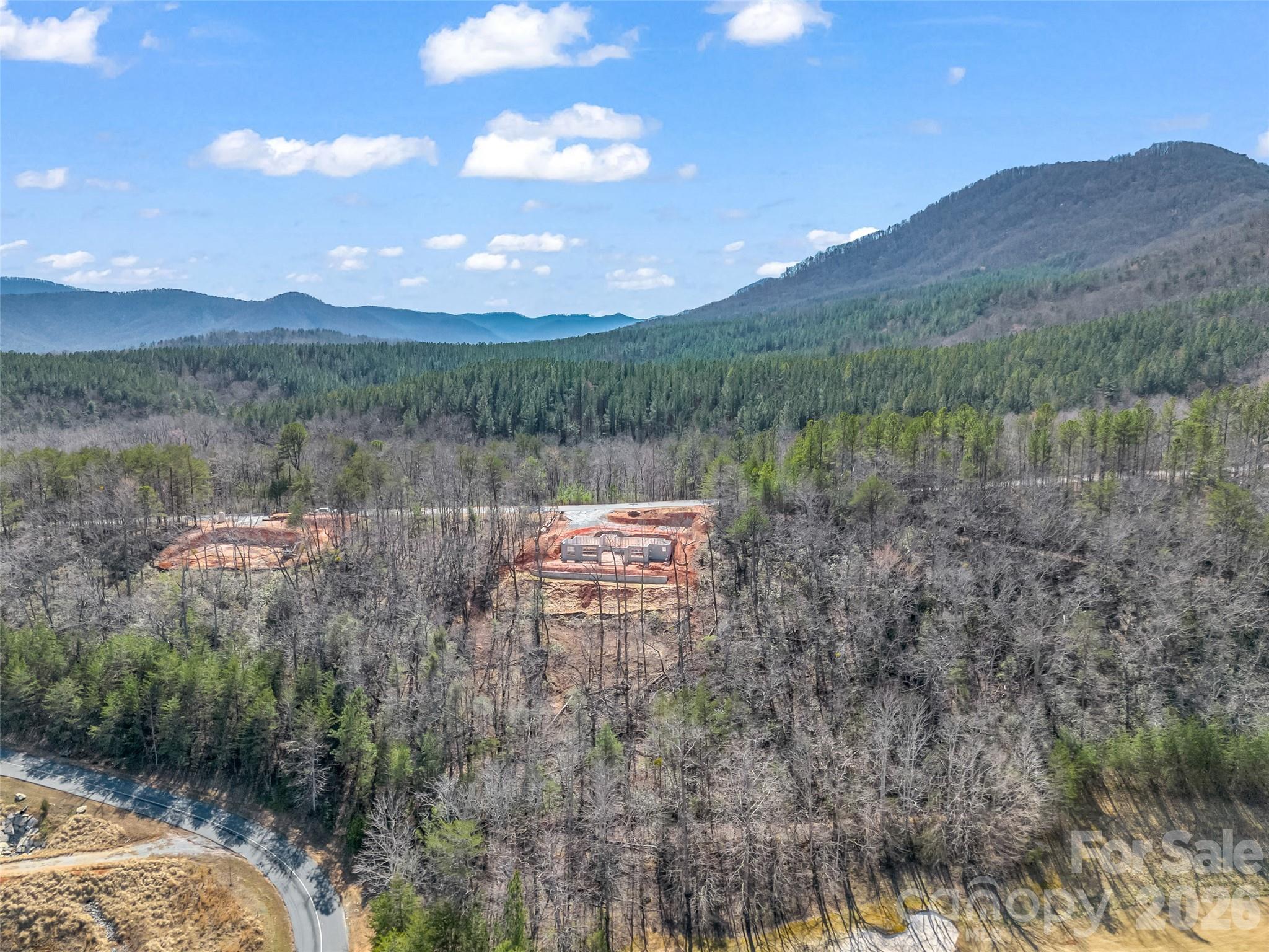 2015 Deep Gap Farm Road East Mill Spring, NC 28756 - Photo 28 of 44