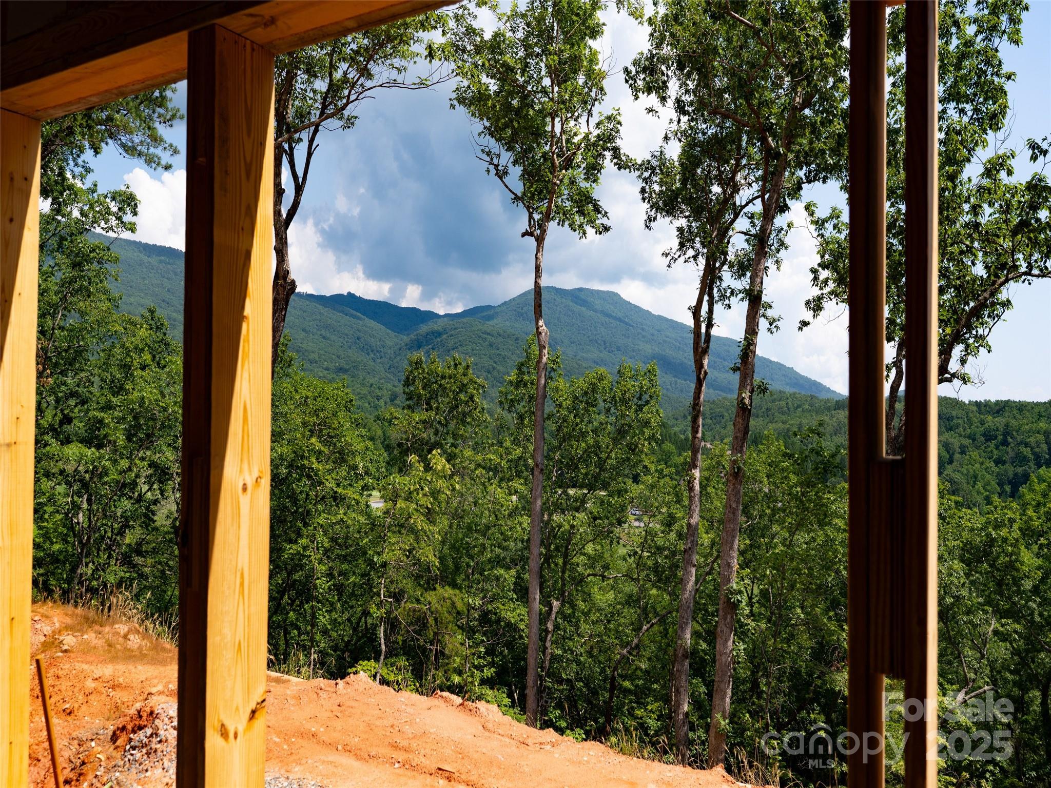 2015 Deep Gap Farm Road East Mill Spring, NC 28756 - Photo 30 of 36 a view of a yard in front of house