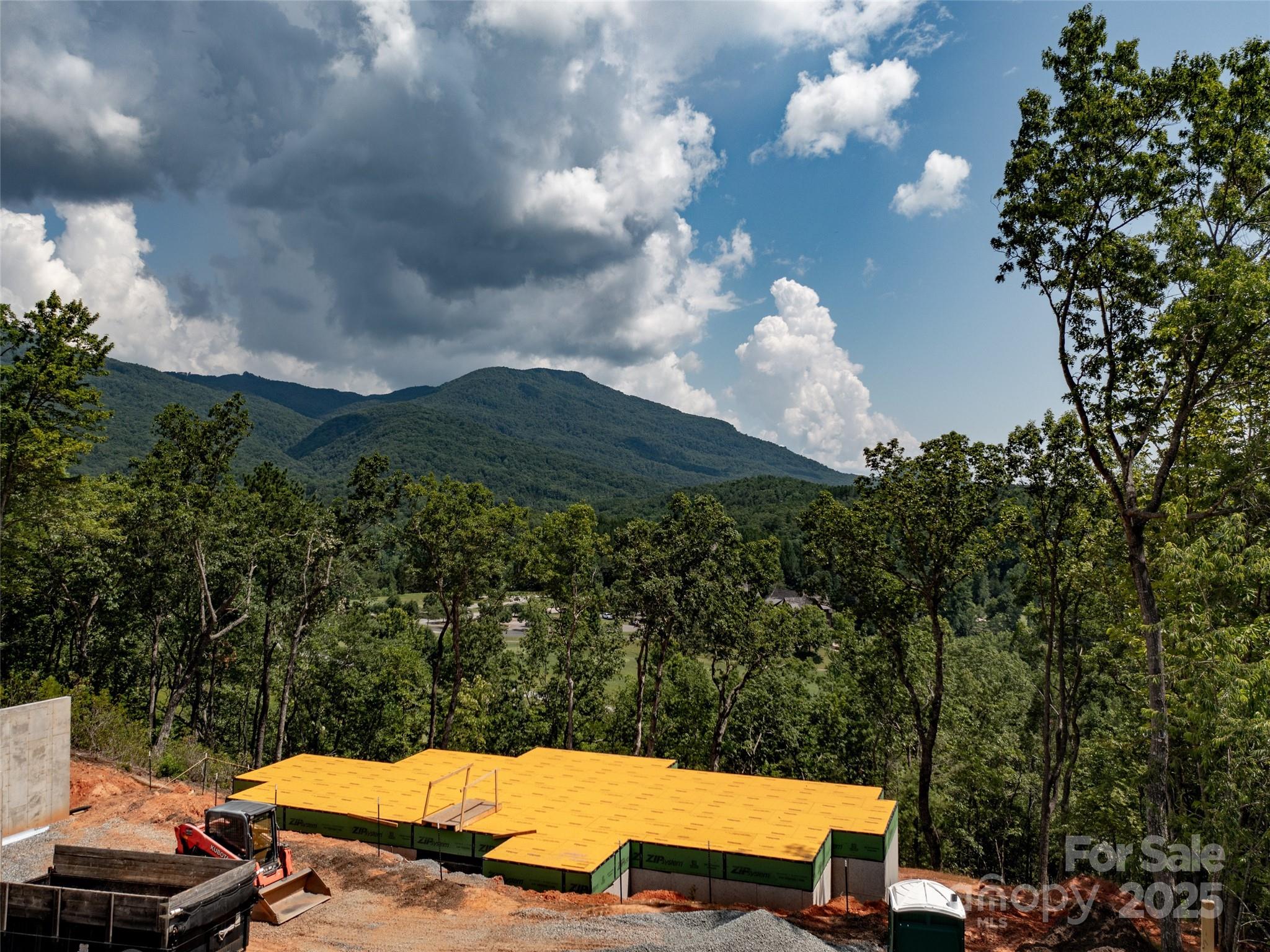 2015 Deep Gap Farm Road East Mill Spring, NC 28756 - Photo 31 of 36 a view of a terrace with a yard and trees