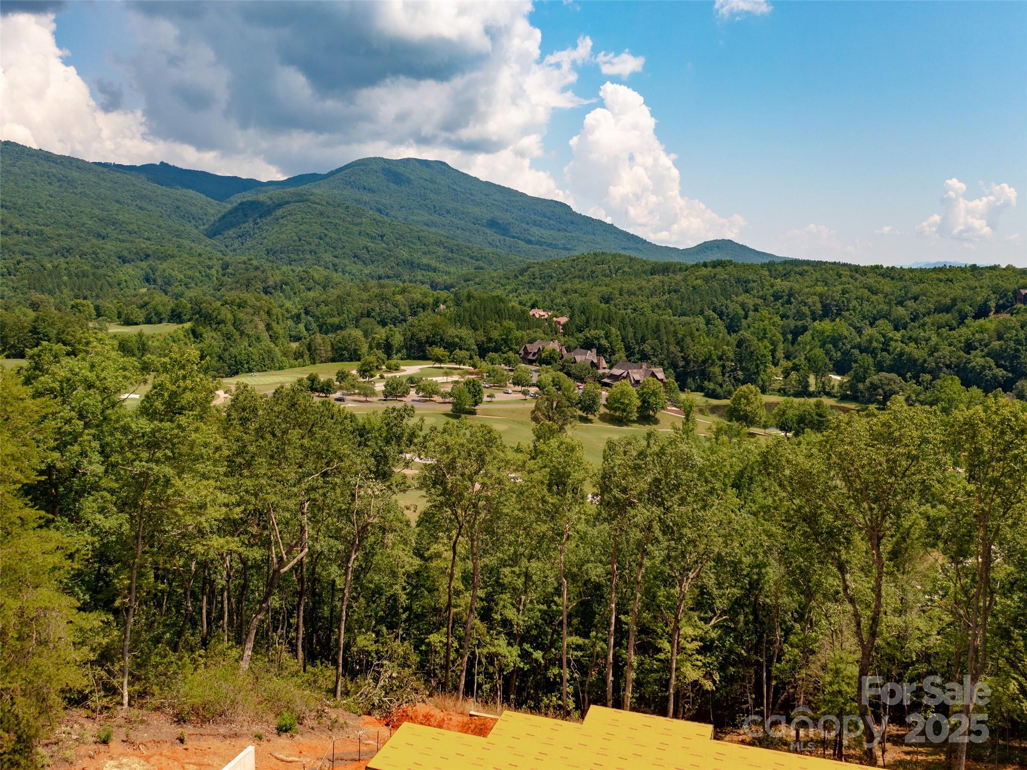 2015 Deep Gap Farm Road East Mill Spring, NC 28756 - Photo 33 of 36 a view of a city with lush green forest