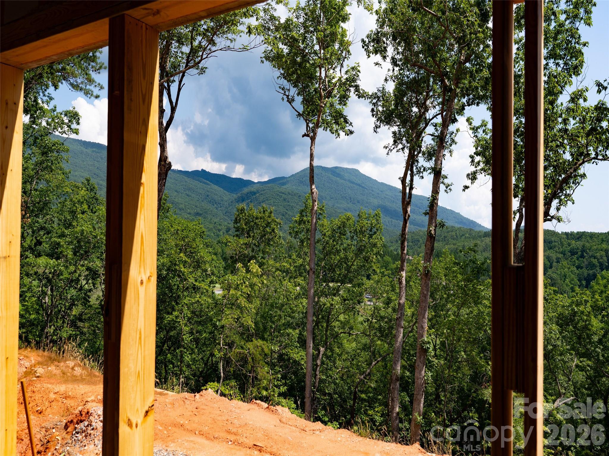 2015 Deep Gap Farm Road East Mill Spring, NC 28756 - Photo 38 of 44