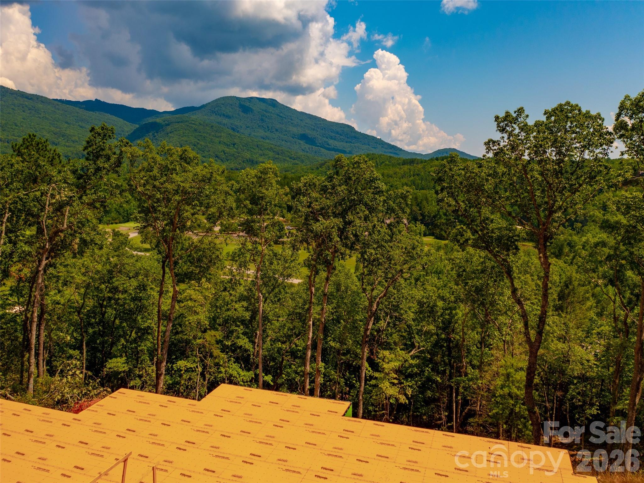 2015 Deep Gap Farm Road East Mill Spring, NC 28756 - Photo 40 of 44