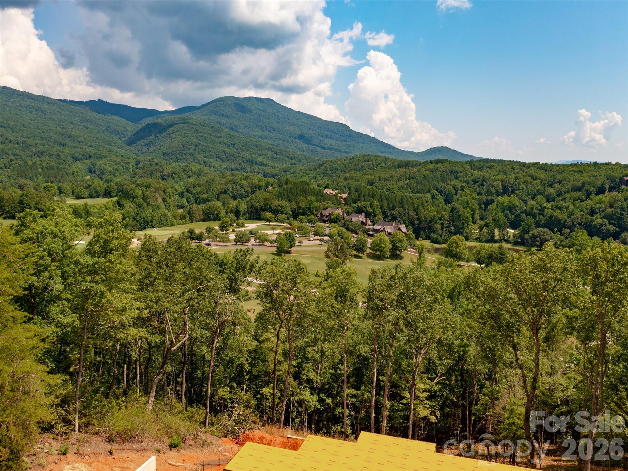 2015 Deep Gap Farm Road East Mill Spring, NC 28756 - Photo 41 of 44