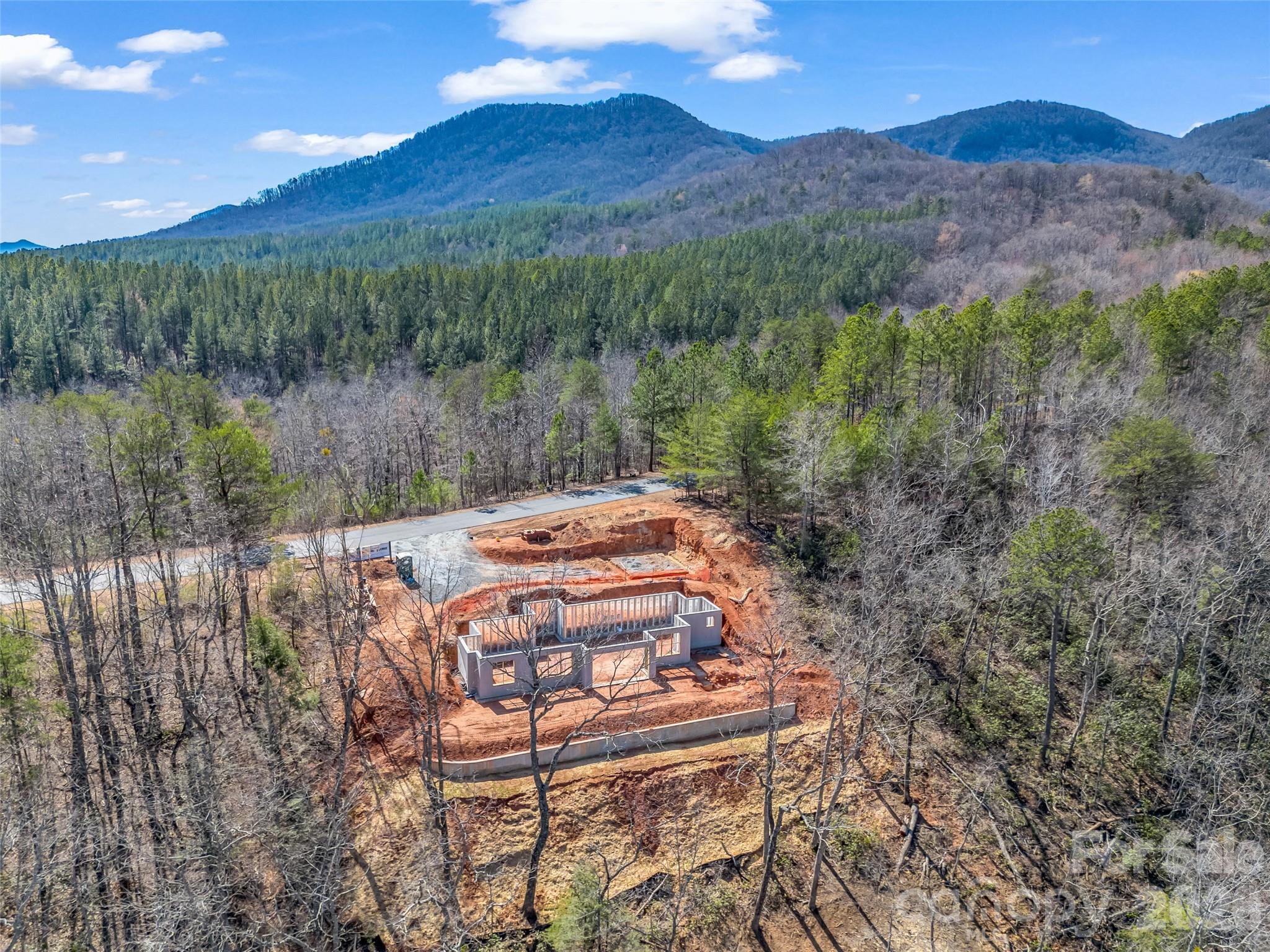 2015 Deep Gap Farm Road East Mill Spring, NC 28756 - Photo 10 of 44