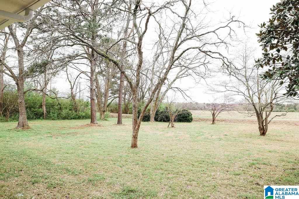 2012 Farmingdale Road Harpersville, AL 35078 - Photo 43 of 46