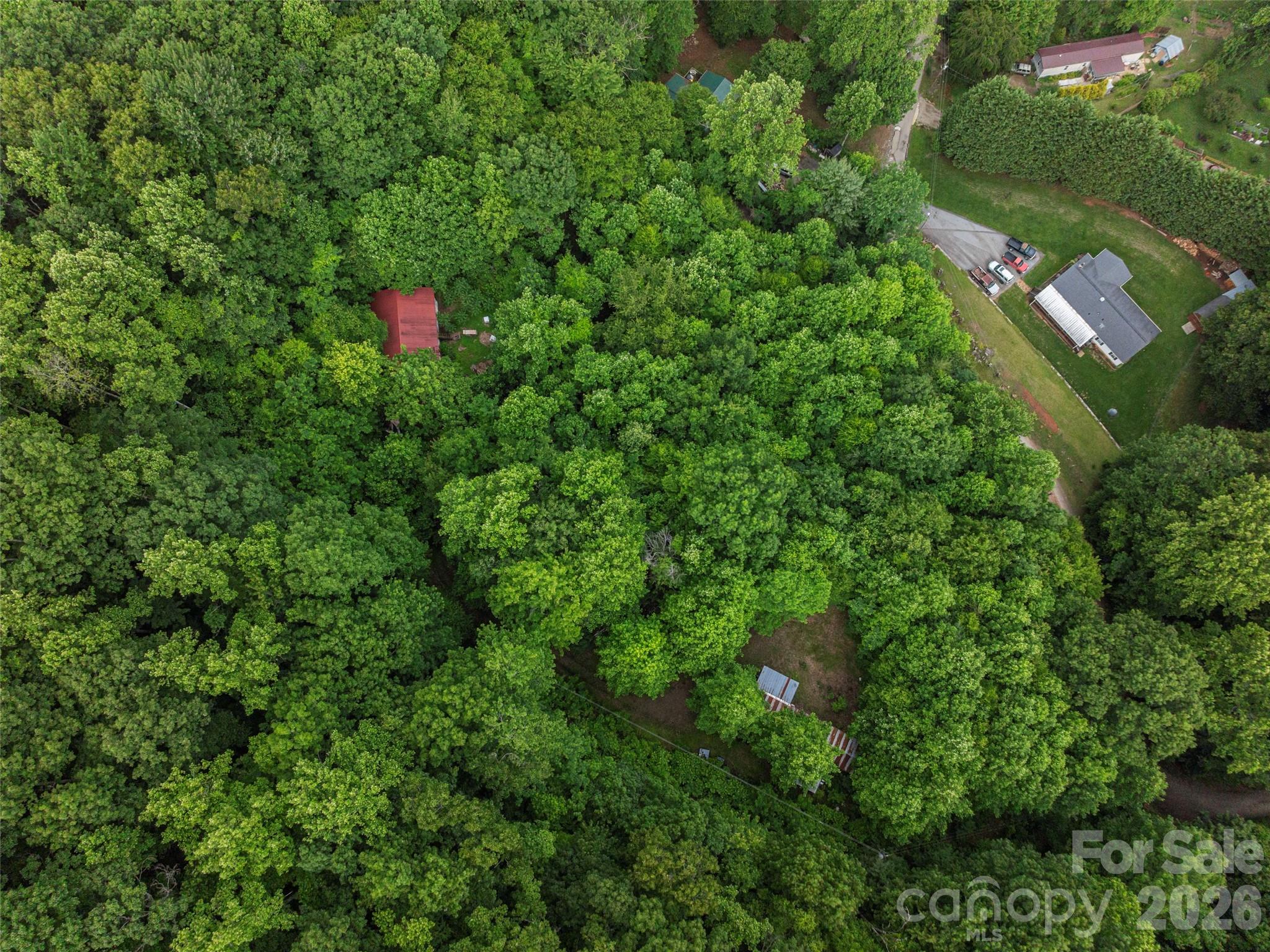 68 Long Ridge Road Candler, NC 28715 - Photo 11 of 13