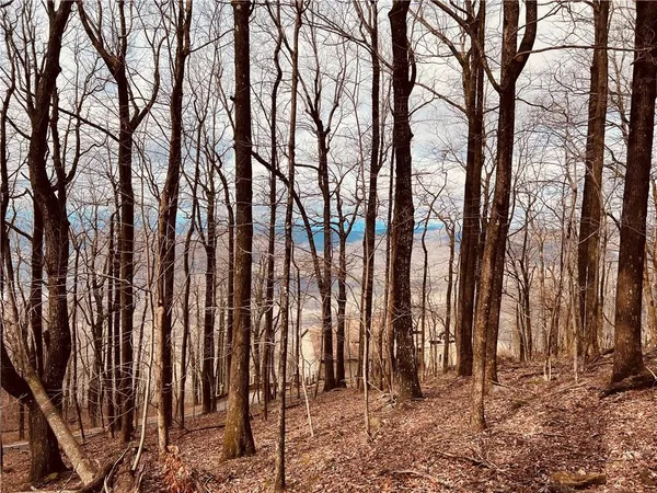 $59,900 | 280 Big Stump Mountain Trail, Jasper, GA 30143