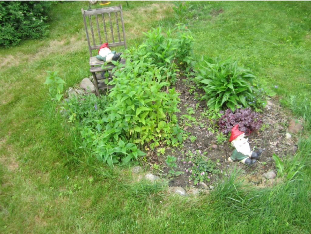 81 Lake Tarleton Road Warren, NH 03279 - Photo 19 of 21 Gallery Image 19