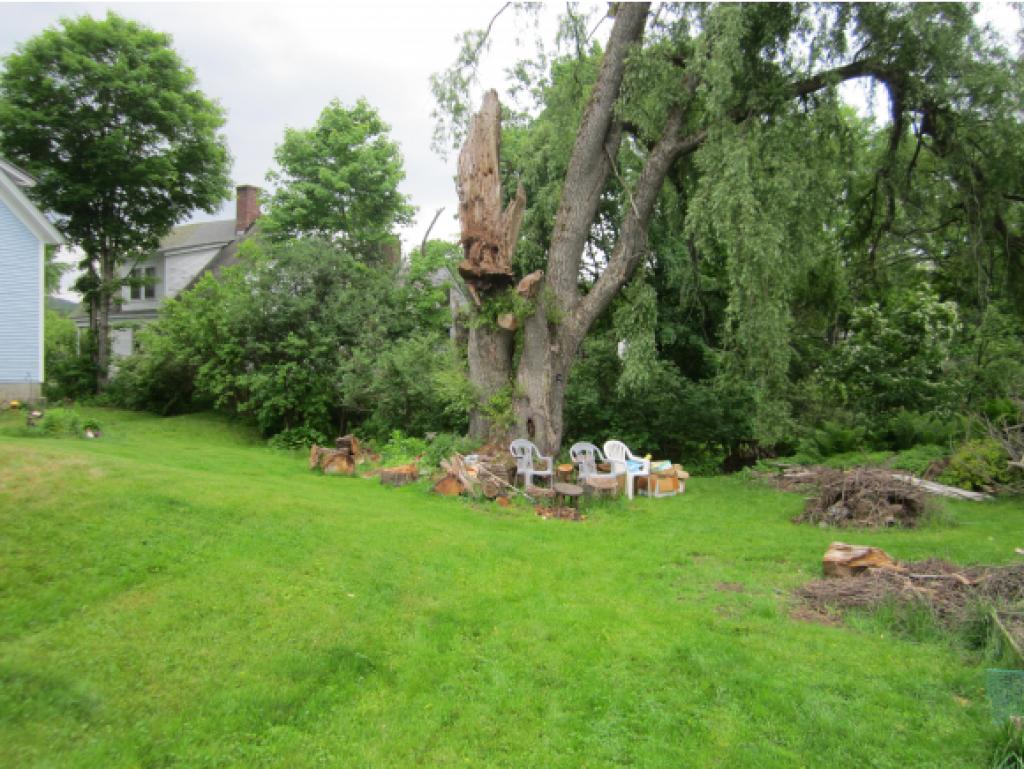 81 Lake Tarleton Road Warren, NH 03279 - Photo 20 of 21 Gallery Image 20