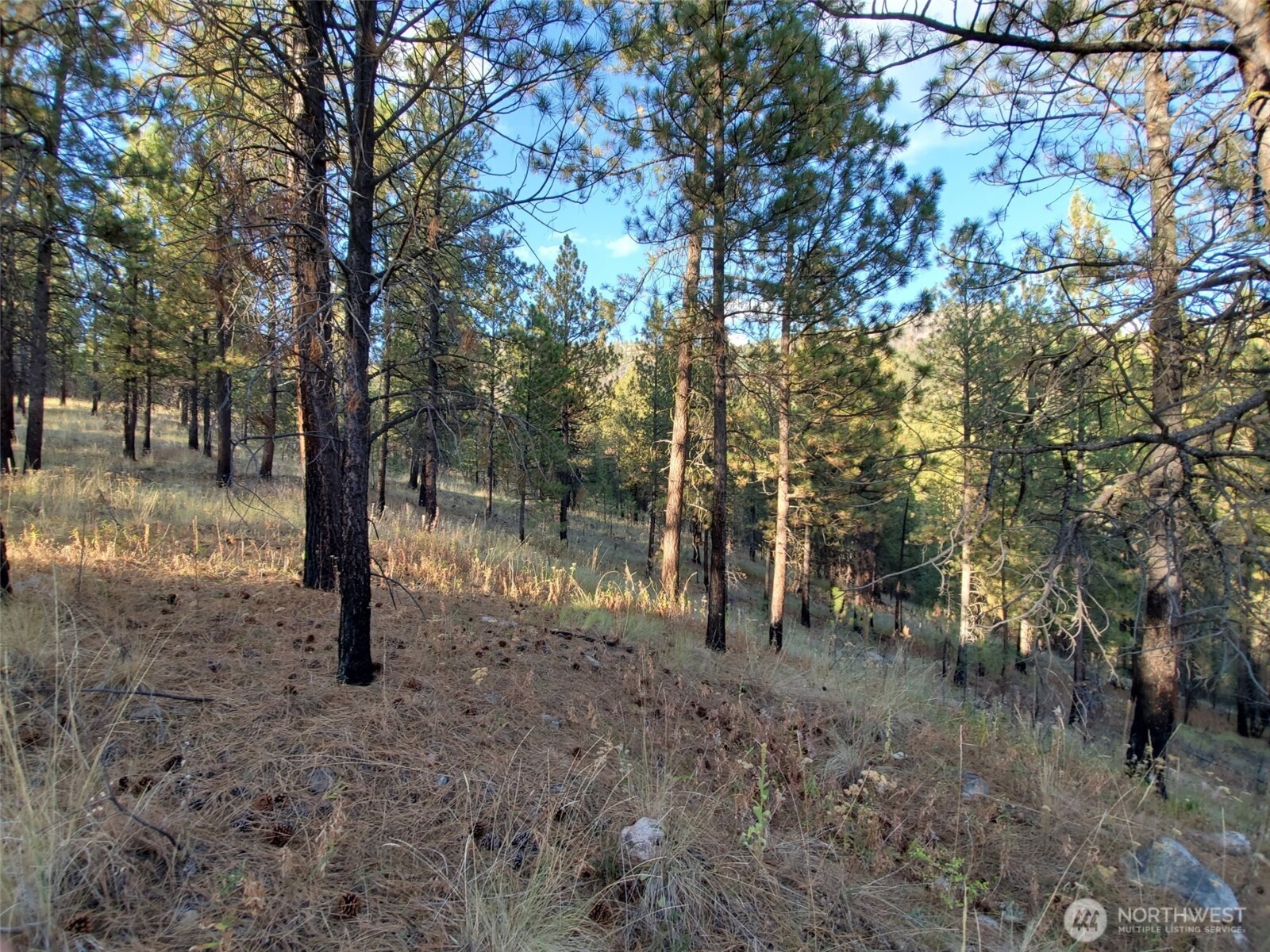 0 Long Horn Trail Riverside, WA 98849 - Photo 4 of 8 Gallery Image 4