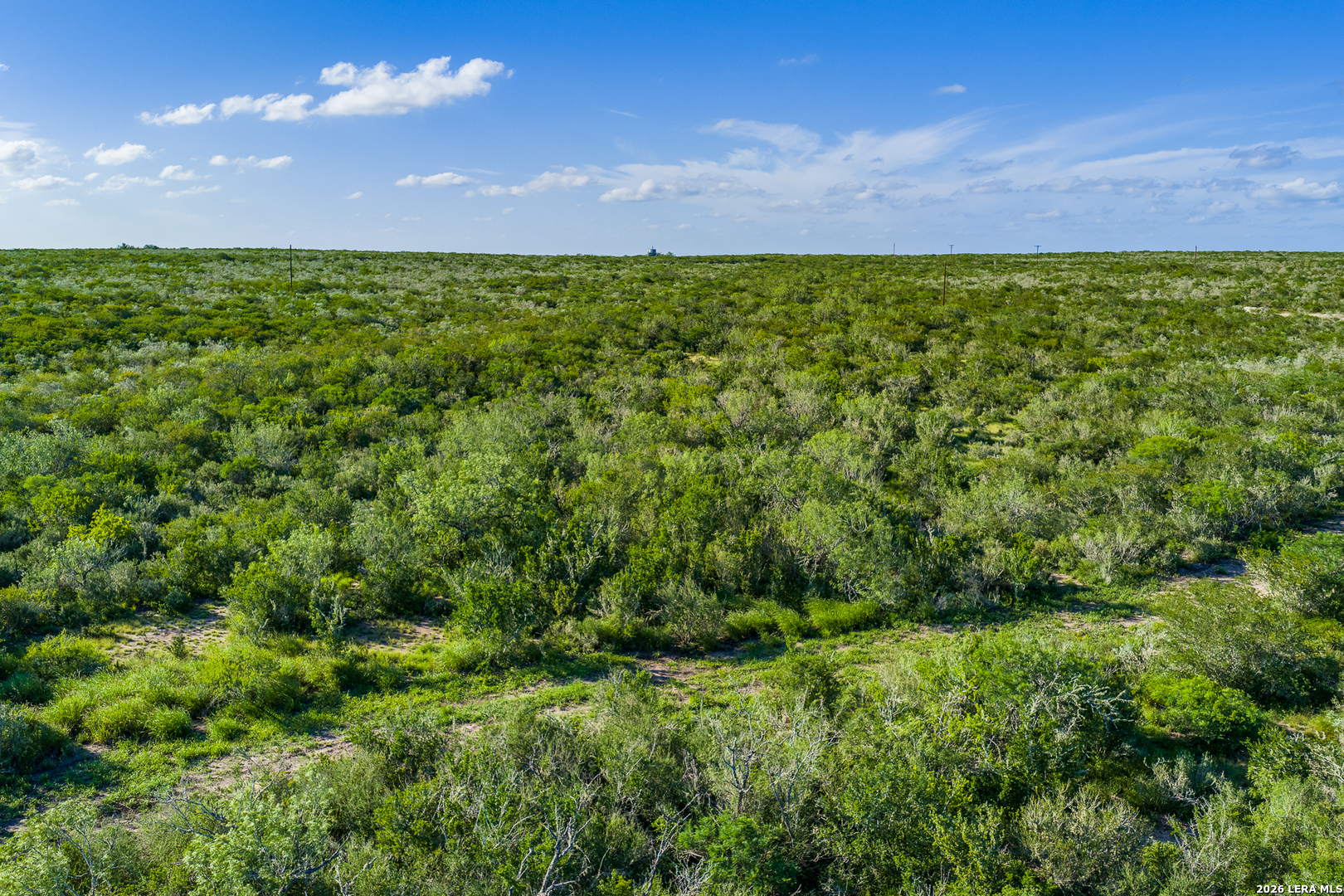 111 Los Lomas Ranch Road Freer, TX 78357 - Photo 12 of 31