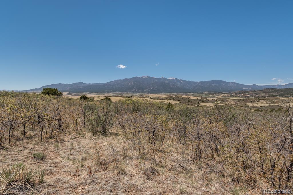 251 Senic Lane Rye, CO 81069 - Photo 1 of 11