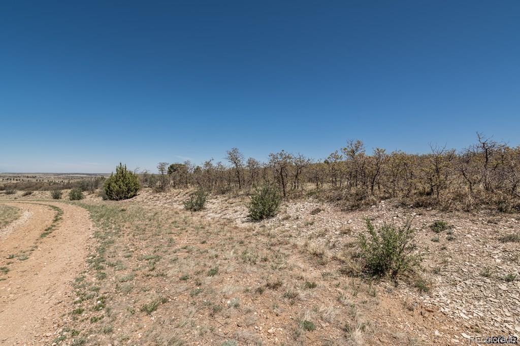 251 Senic Lane Rye, CO 81069 - Photo 3 of 11