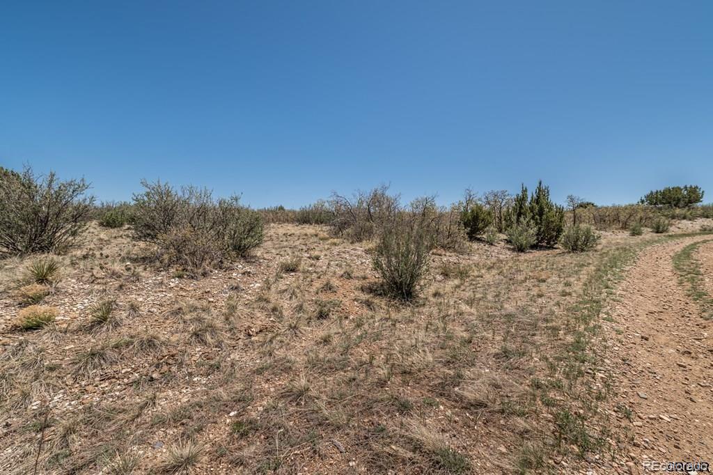 251 Senic Lane Rye, CO 81069 - Photo 5 of 11