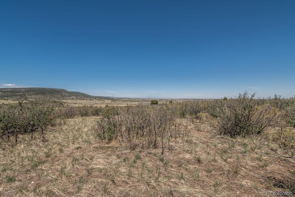 251 Senic Lane Rye, CO 81069 - Photo 6 of 11